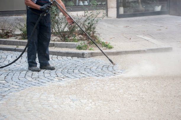 Best Dumpster Area Cleaning  in Fayetteville, WV